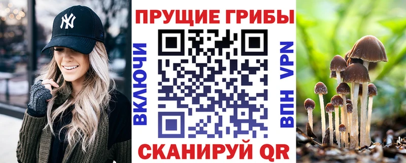 Купить закладки  Новоульяновск  Псилоцибиновые грибы прущие грибы 